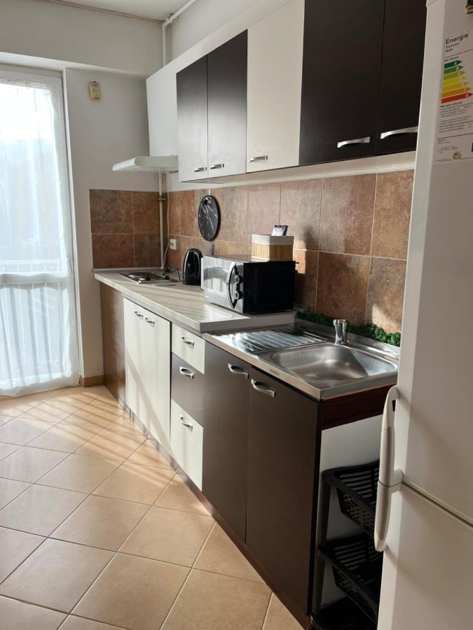 시나이아 Anissia Apartament 아파트 외부 사진