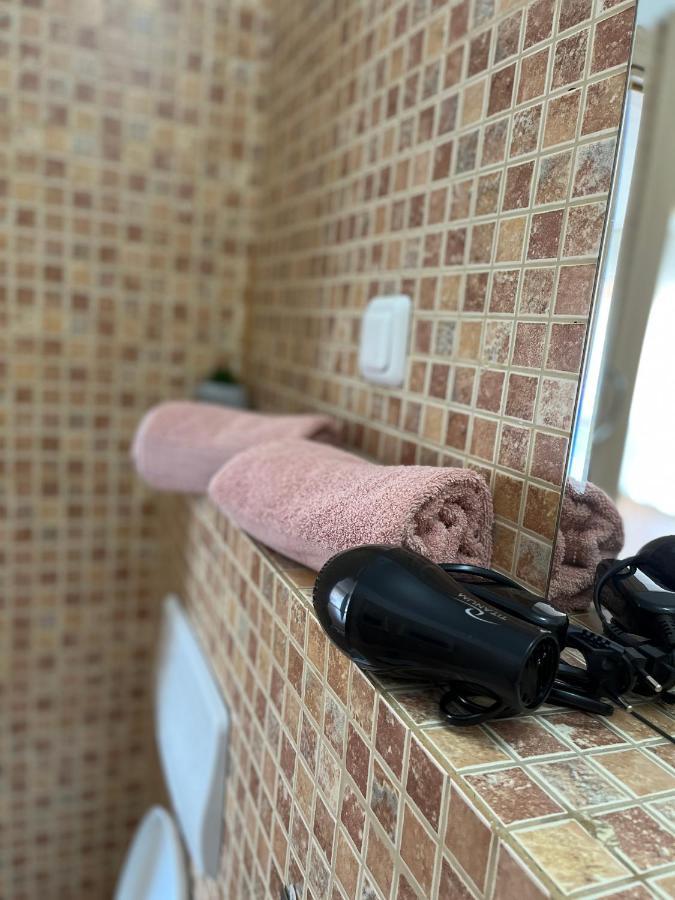 시나이아 Anissia Apartament 아파트 외부 사진