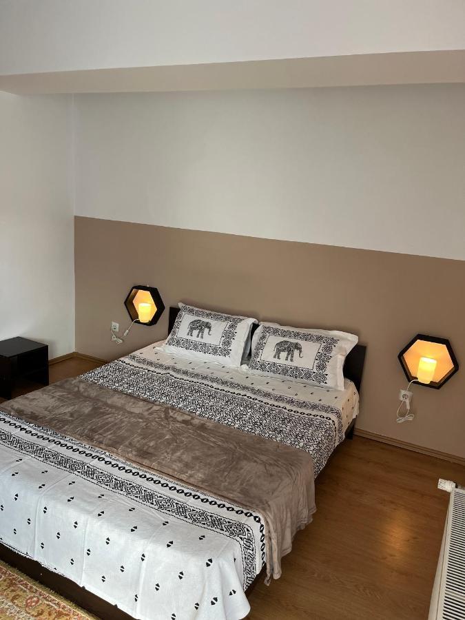 시나이아 Anissia Apartament 아파트 외부 사진