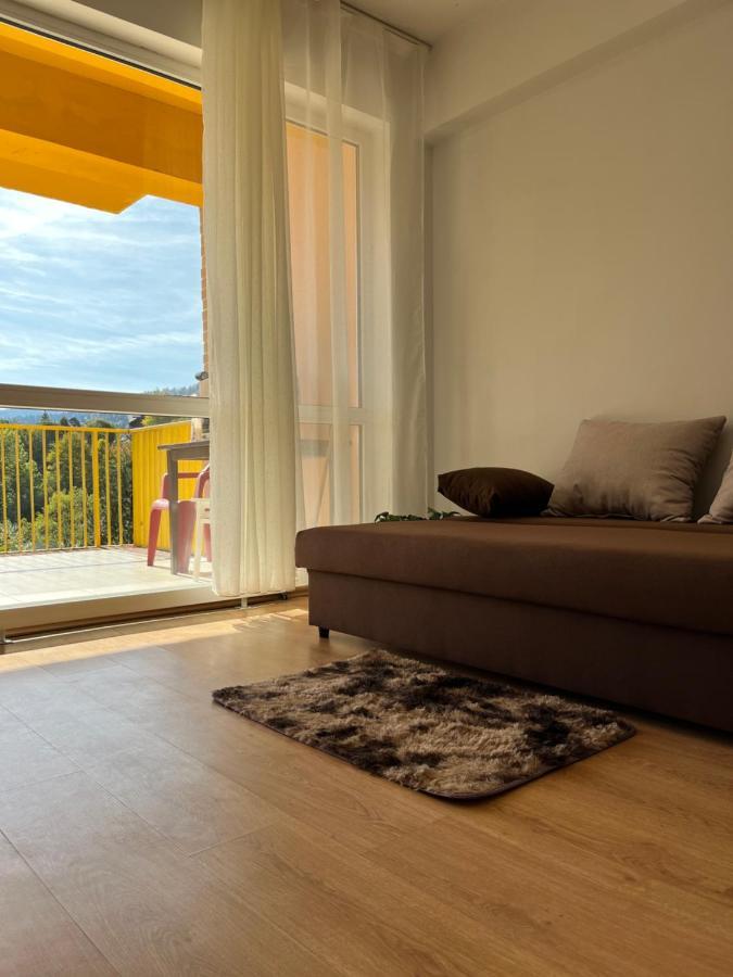 시나이아 Anissia Apartament 아파트 외부 사진