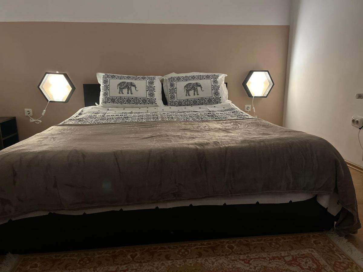 시나이아 Anissia Apartament 아파트 외부 사진